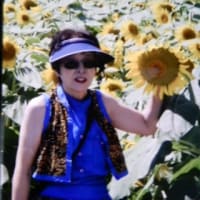 七月の花”ひまわり”過去の油絵から