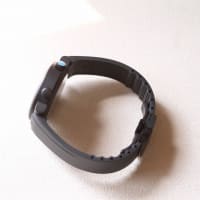 ｲｴﾏ × ｱﾗﾝ・ｼﾙﾍﾞｽﾀｲﾝ ﾘﾐﾃｯﾄﾞｴﾃﾞｨｼｮﾝ　入荷致しました。