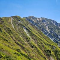 新緑の大山さん　5月10日登山分（大山ユートピアコース）