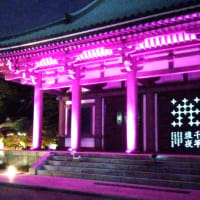 博多の夜を彩る