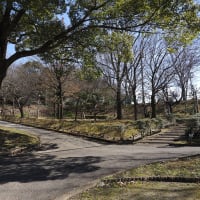 ❹平芝公園梅まつり～豊田市西山公園散策　2025
