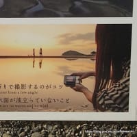 2025年帰省旅（6日目）父母ヶ浜～麺通堂（讃岐うどん）