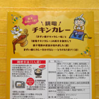 ７０５食目：銚電チキンカレー（オフィスシン）