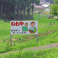篠山囲炉裏料理 いわや