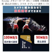 memry card 1TBのうそ