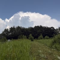 ◆  共有地草刈り