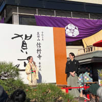 20250101 恐るべき餅まきー初詣 at 春秋苑ー
