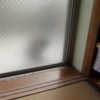 えっ　猫だ