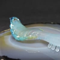 バーナーワークで何作る？その１３２（立体造形）古生物ちっこいピカイア