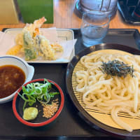 今日は歯科大の健診日