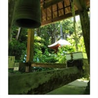 岩船寺　静夏の刻