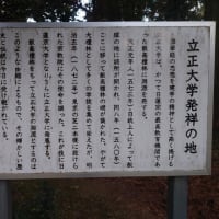 飯高城(2025年1月26日)