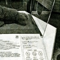 ＡＩロボットと人間⑤　癒やしか殺人兵器か