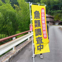 あと７夜で支流解禁？