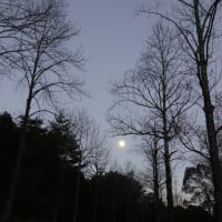 満月