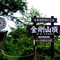 山頂にて-大阪府千早赤阪村：金剛山