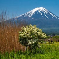 青空の富士山　２