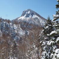 私が一番好きなスキー場は志賀高原、でもスキー場の人気順位はスキーヤーの好み次第