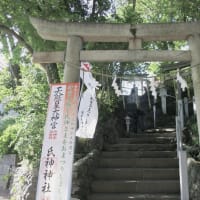 ぶら散歩～多摩川台公園古墳群・浅間神社