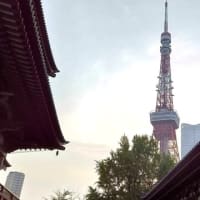 世界平和への祈り～増上寺 和紙キャンドルナイト～
