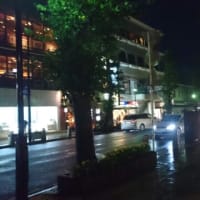 夜の鎌倉～小町通り散策～
