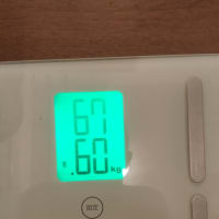 13日目の数値