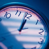 2025／2028年の十二支を用いて調べてみました