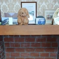 写真展＆Blogのお引越しの準備