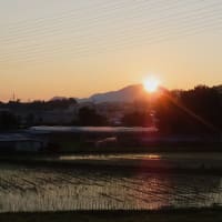 二上山の日の出～北大伴　千早川２　２０２５．６