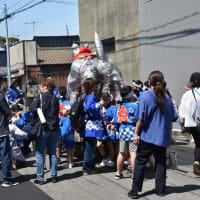 大山犬祭り/令和7年