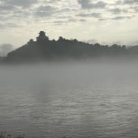 霧の犬山城