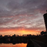 ウォーキング2022年1月19日（水）朝7時の日の出