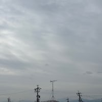 久しぶりの夕焼け