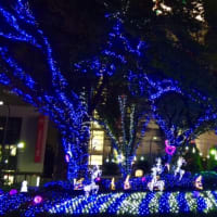 11月のメンタル診察