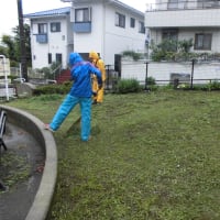 ボーイスカウト横浜第114団、7月5日　　原第一公園の草刈り実施