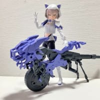30MS ニャレンティのバイクできた、そして…（笑）