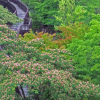 涼月の公園情景