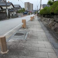 梅雨時期の楽しみ♪