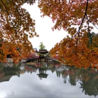 紅葉狩りに行きました