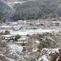 大雪警報～～