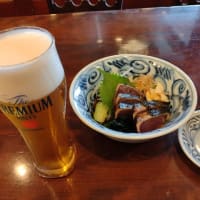 【２０２３年遍路】高知の右半分を堪能せよ！（４日目　フラグをちゃんと回収するぞ）