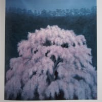 東山魁夷、【花明かり】、額装用画集画、美品、新品額装付、春