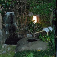 庭の小池と小滝