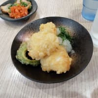 |M3419|宮崎空港ビル３F『萩の茶屋』で早めの夕食。レモンチューハイ＆鶏天おろし＆キムチチャーシューで開始し、冷やし平兵衛酢（へべす）そばが抜群にうまかった！