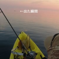 今シーズン4回目のカヤックフィッシング