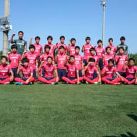 全国高等学校サッカー選手権　新潟県予選