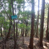 福岡県の山々を歩く