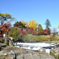曽木の滝紅葉