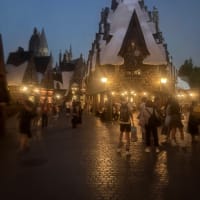USJ⭐︎夜ユニバ楽しんできました♪