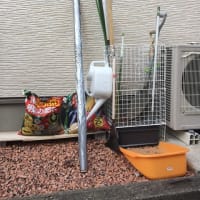 畑道具の収納ボックスを作成 設置 ぽりすパパの一日 V 畑道具の収納ボックスを作成 設置 ぽりすパパの一日 V